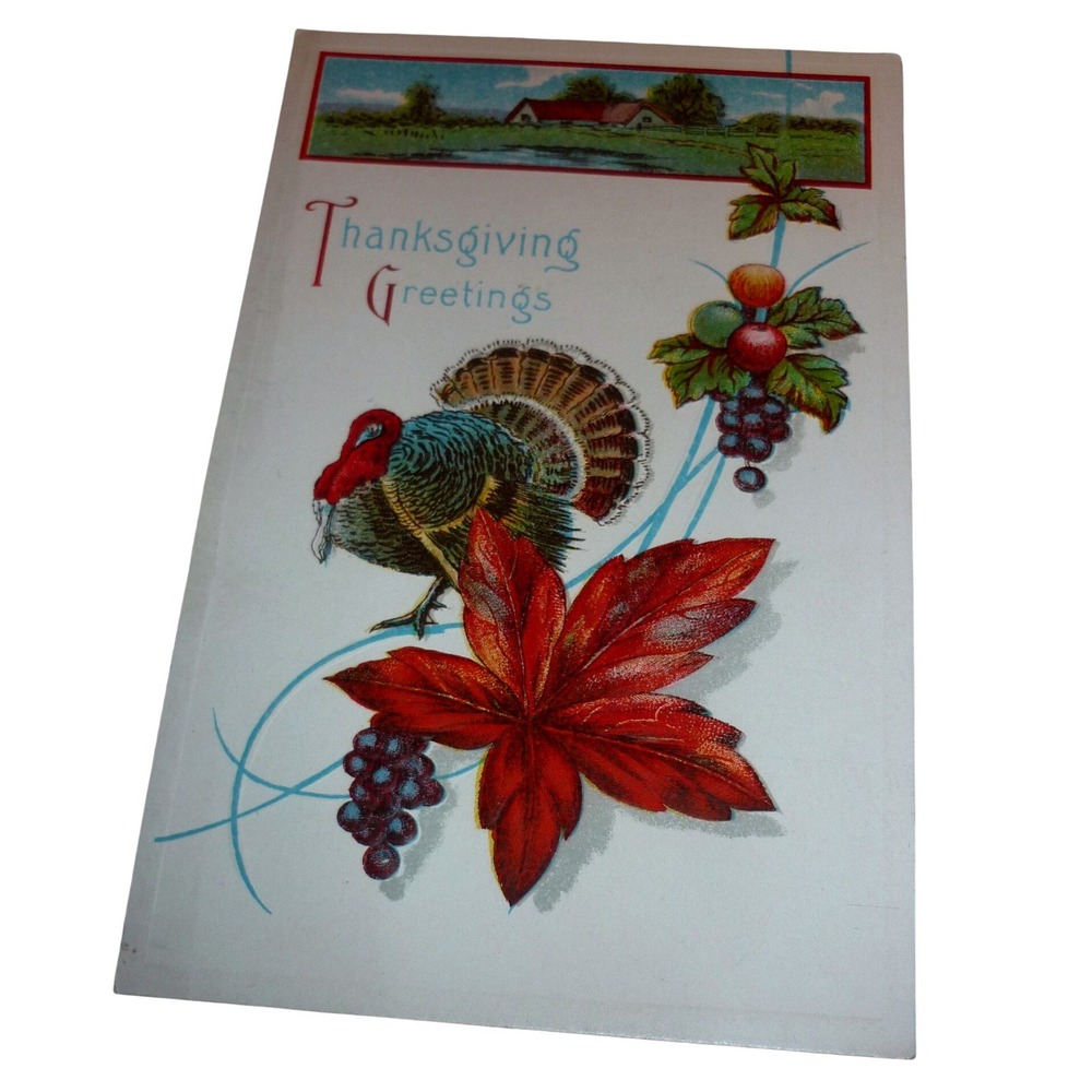 Vintage Thanksgiving Greetings Postcard Embossed Turkey Autumn Leaves USA 524